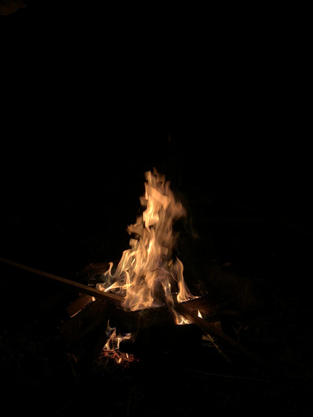 eda3d196-713d-4e39-b984-1bd66b34f3fd